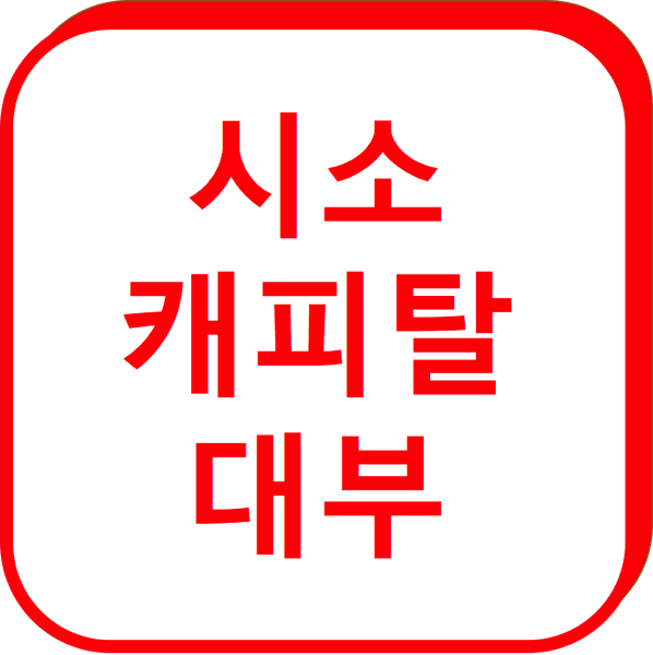 1.png 시소캐피탈대부