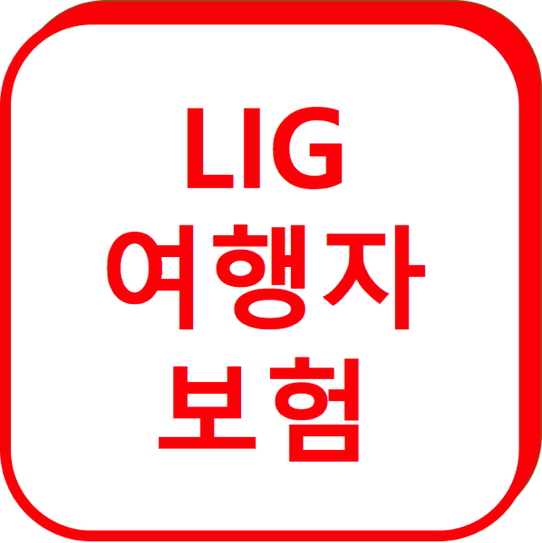 1.png LIG여행자보험
