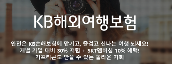 2.png 여행자보험
