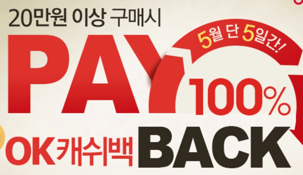 1.png 페이백에셋대부중개